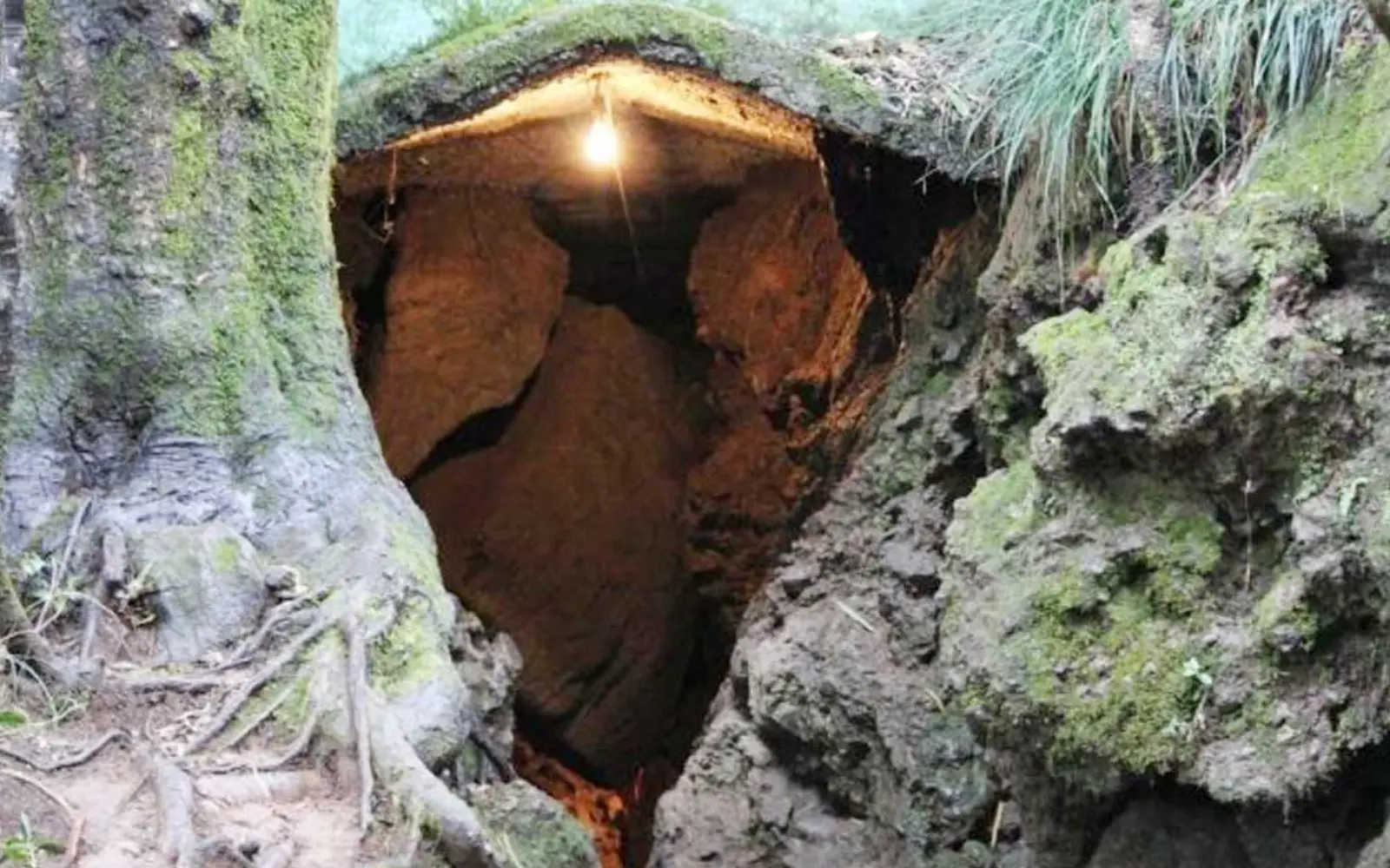 eco cave gardens nainital